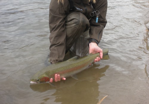 Idaho's Best fly fishing outfitter